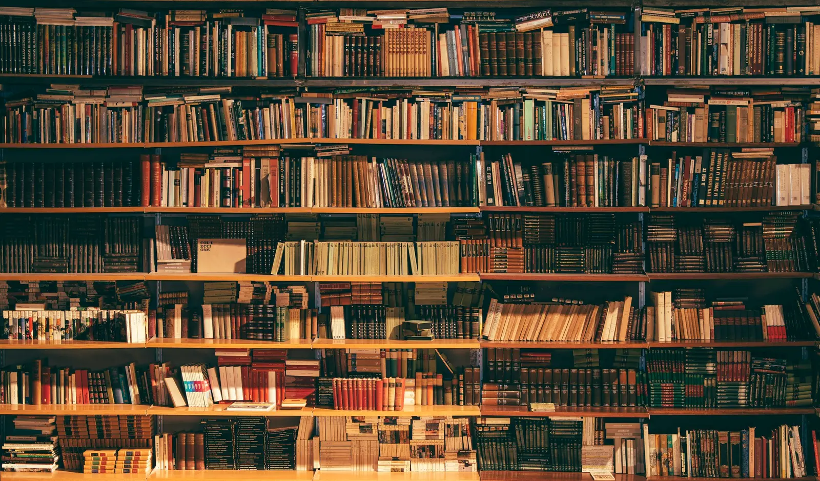 Estante cheia de livros